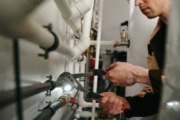 Best Plumbing Inspection Services  in Williams, AZ