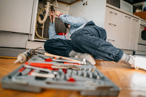 Best Affordable Plumber Near Me  in Williams, AZ