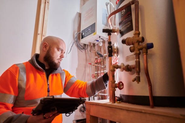 Best Local Plumber Services  in Williams, AZ