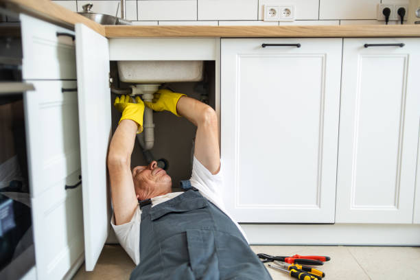 Best Same-Day Plumbing Service  in Williams, AZ