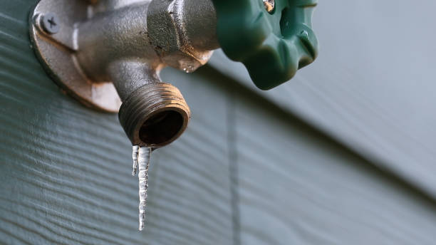 Best Local Plumber Services  in Williams, AZ