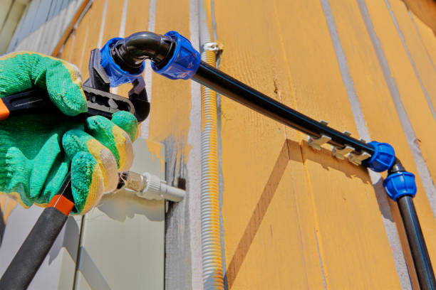 Best Sewer Line Repair  in Williams, AZ