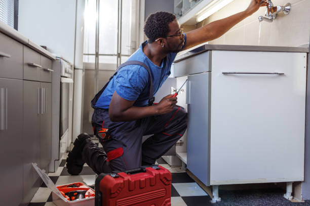 Best Clogged Drain Plumber  in Williams, AZ