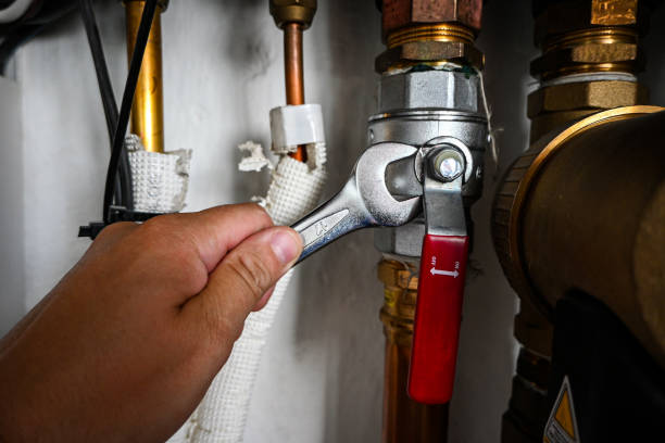 Best Water Heater Repair  in Williams, AZ